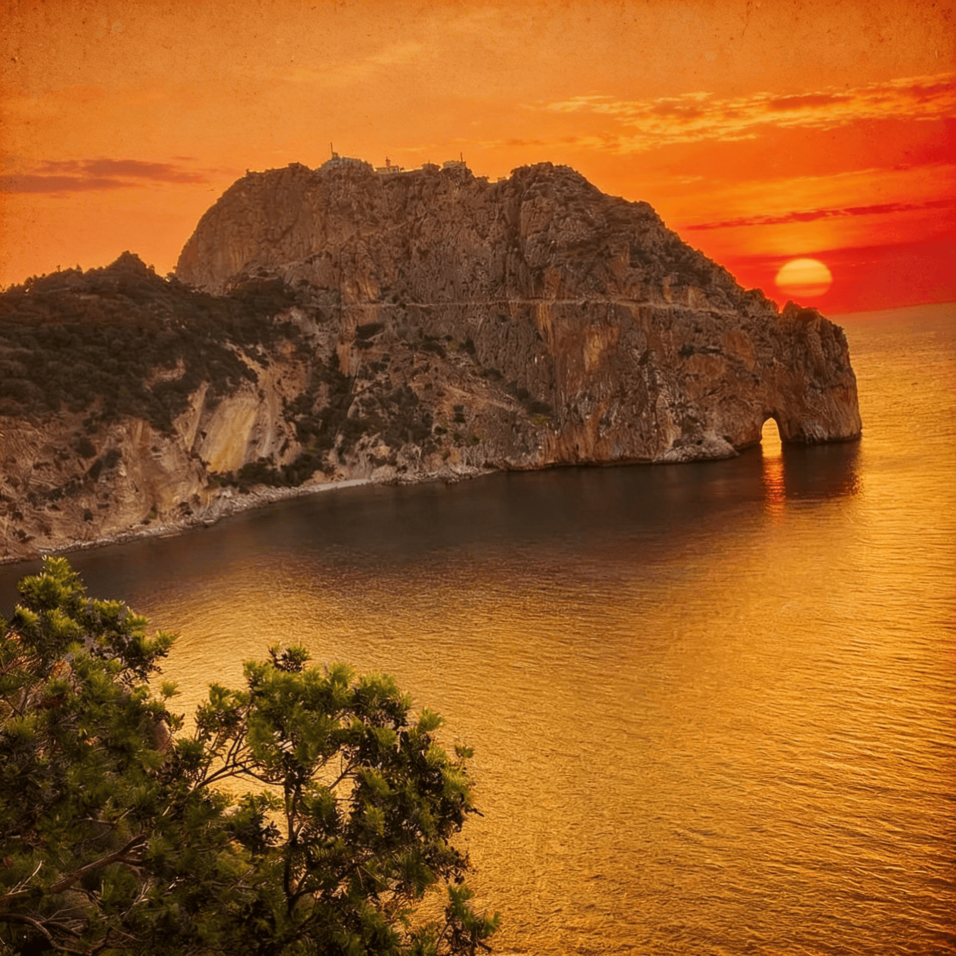 BRISE DE CAP CARBON