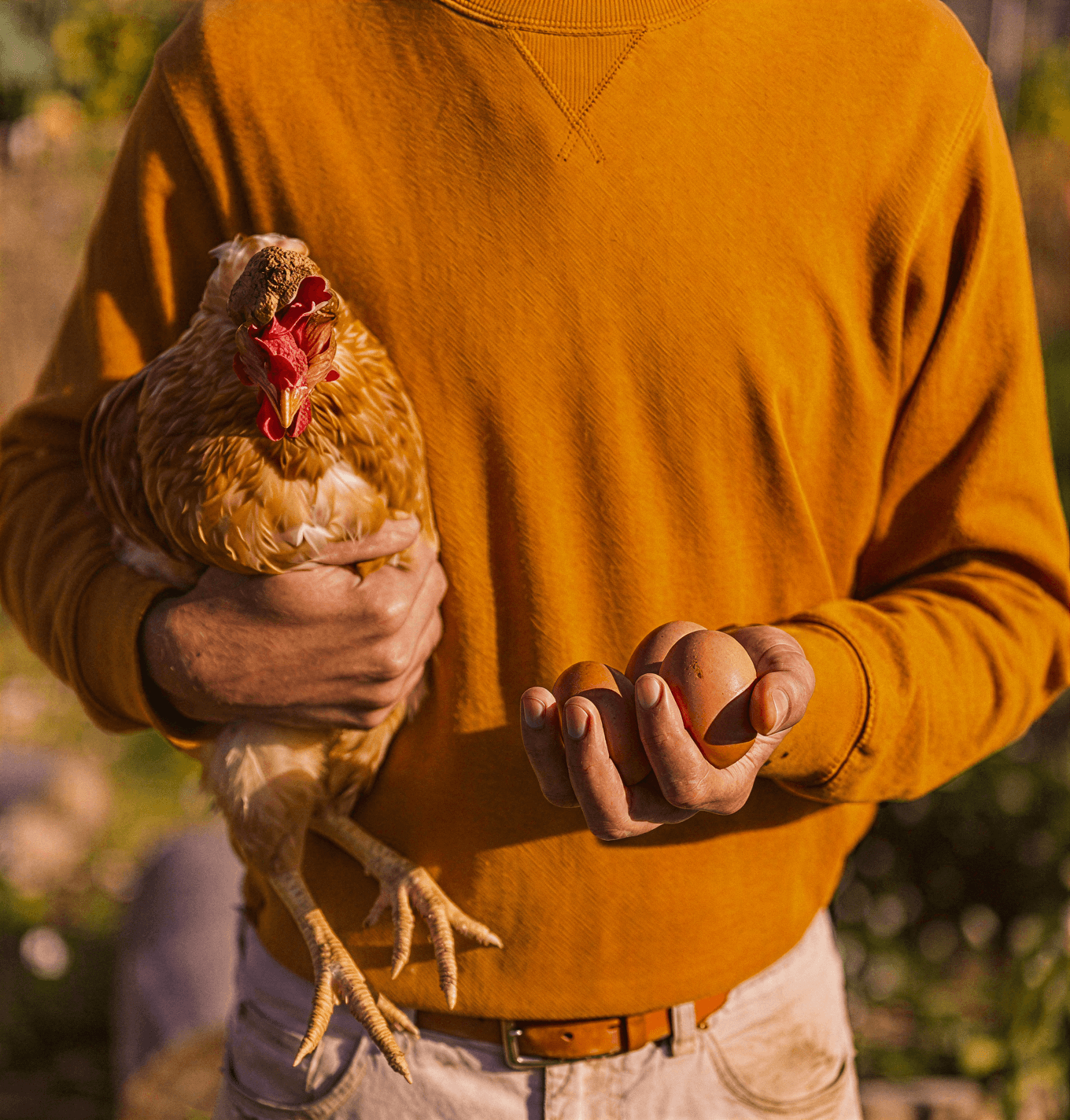 Douceur de la ferme