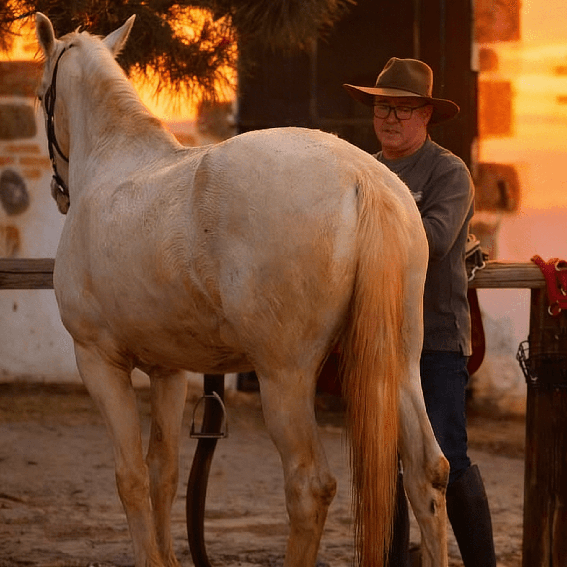 Vous aimez les chevaux ?