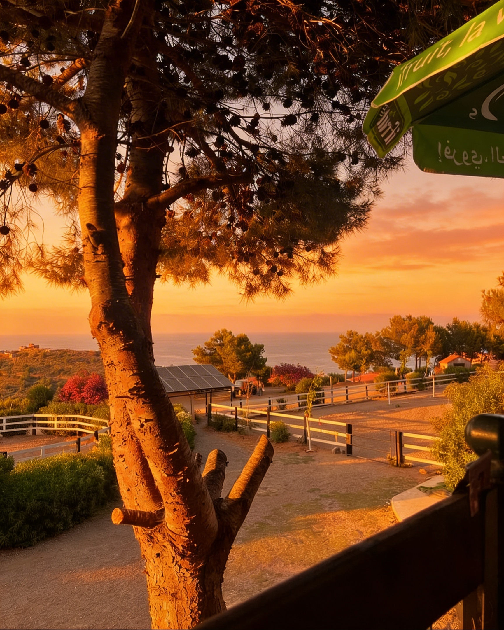 Coucher de soleil sur les collines de Béjaïa