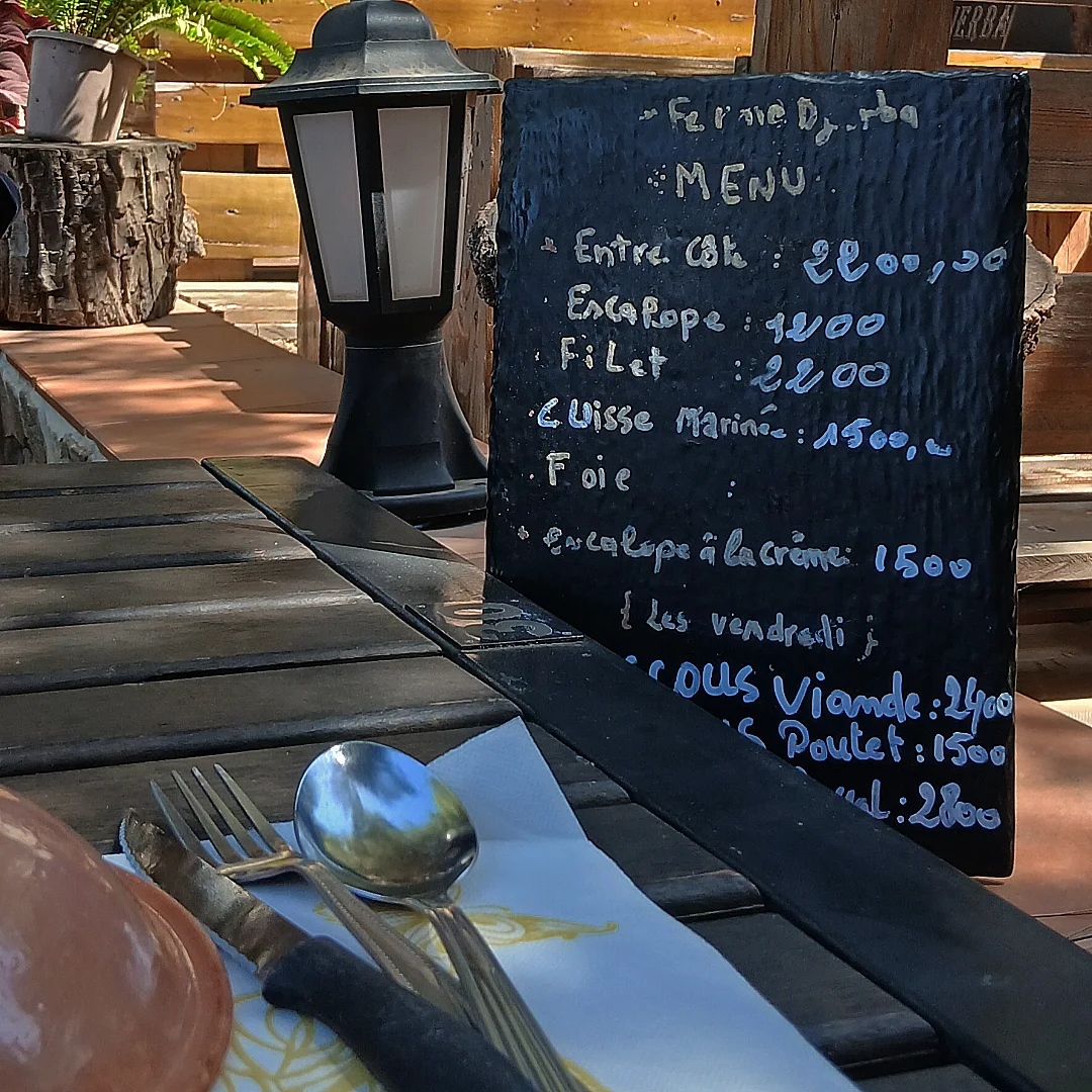 Table de dégustation à la Ferme Djerba